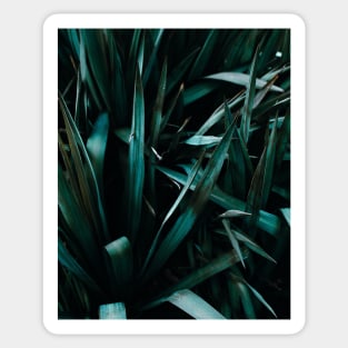 Green Plant - Nature Sticker